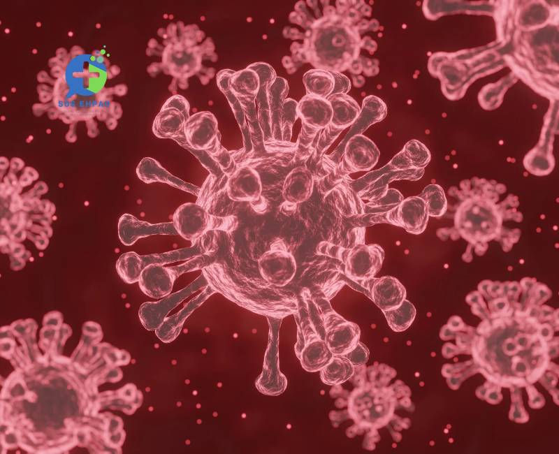 EHPAD : Protéger résidents et personnel face aux infections