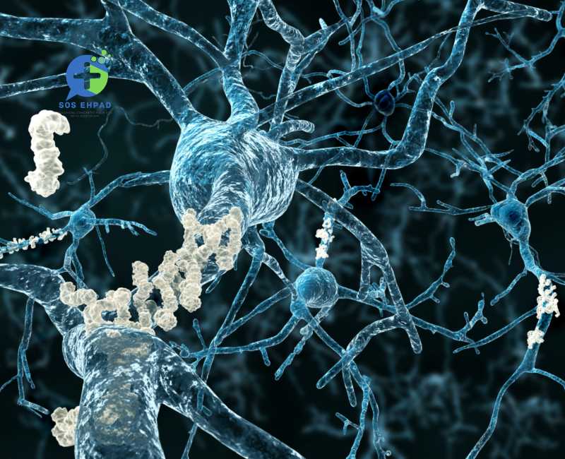 Un homme défie la génétique : une clé pour prévenir Alzheimer ?