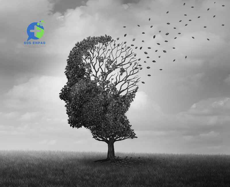 Lutte Contre Alzheimer : DomusVi et la Fondation Recherche
