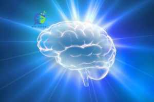 Atrophie hippocampique liée à Alzheimer : Focus sur l’échell
