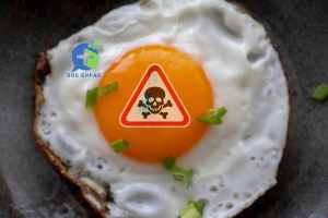 Hygiène alimentaire en EHPAD : Aliments et préparations