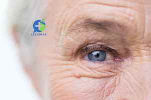 Comprendre le vieillissement pour mieux accompagner les personnes âgées