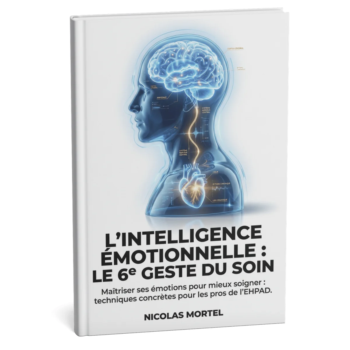 Intelligence &eacute;motionnelle