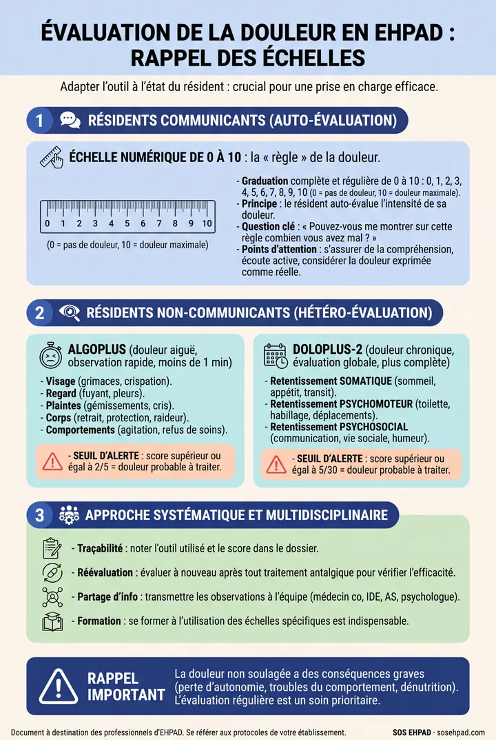 Aper&ccedil;u affiche &Eacute;valuation de la douleur &mdash; &eacute;chelles ALGOPLUS et DOLOPLUS-2